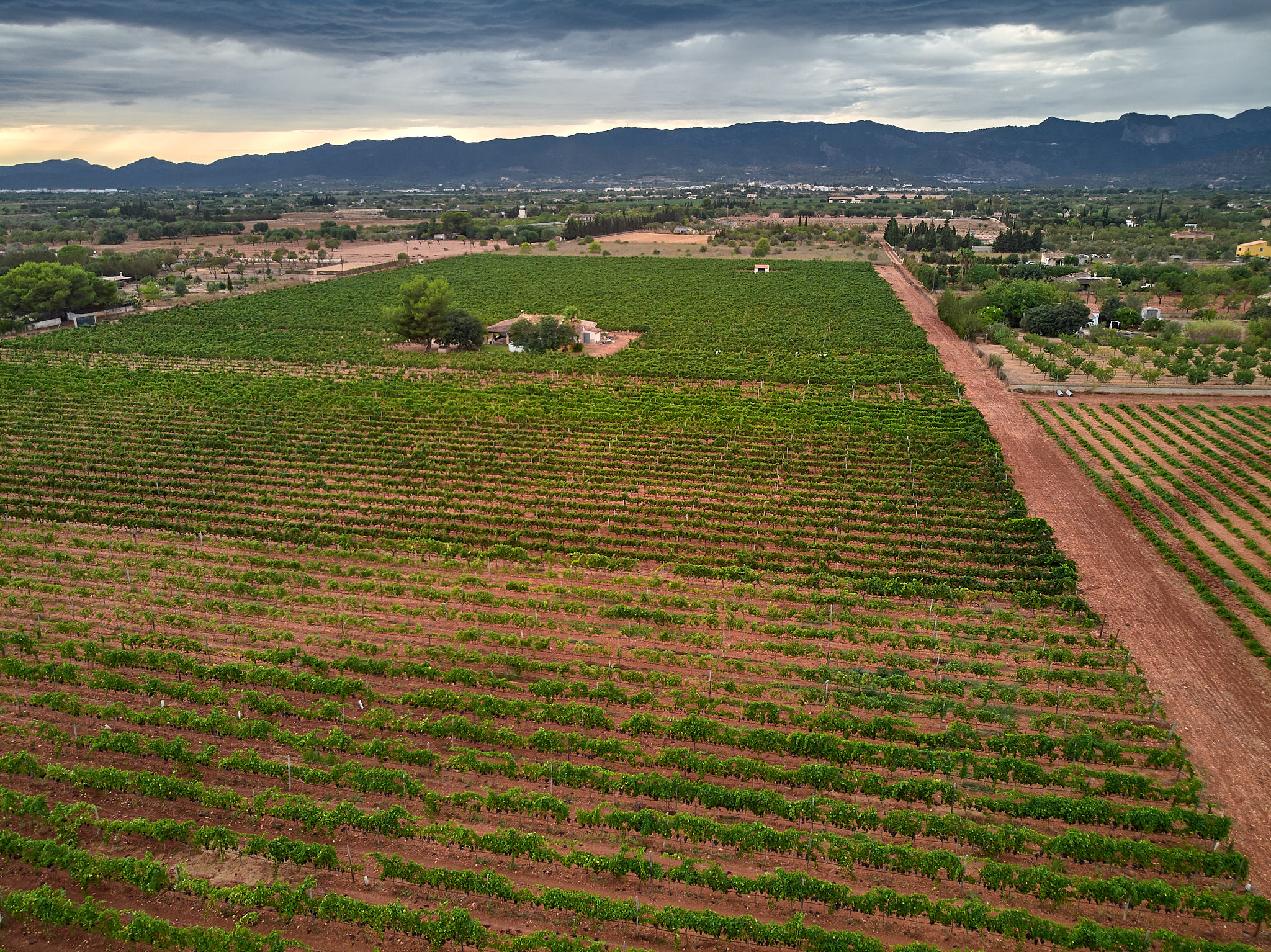 Bodega KarretàniaQuan el vi és raïm. Un viatge a través de les varietats autòctones de Mallorca.